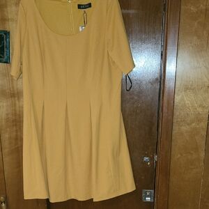 Kasper Mustard Yellow Scoop Neck Short Sleeve A-Line Dress